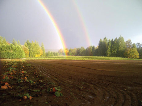 Best Farm Fun: Remlinger Farms