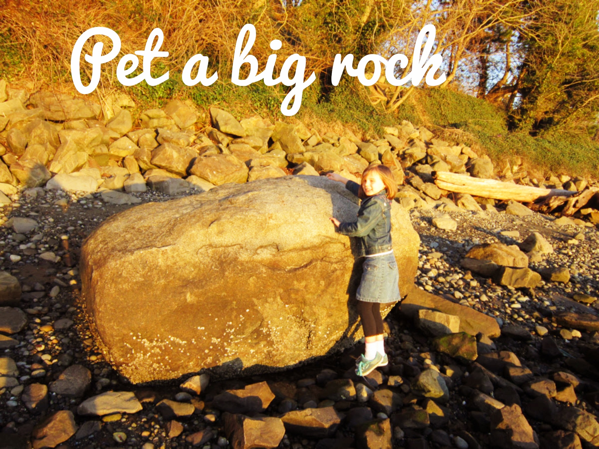Pet a big rock