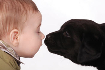 Pets and Babies: Why Vigilance Is Vital