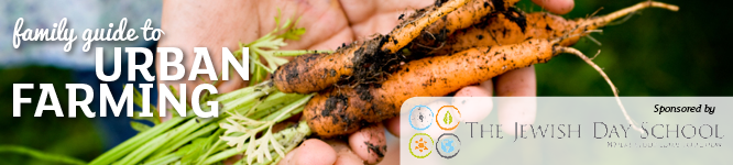 Family Guide to Urban Farming
