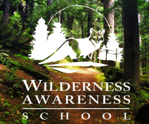 Best nature or environmental camp: Wilderness Awareness Camp