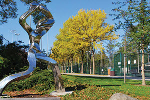 Best park: Grass Lawn Park