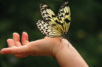 Nature nurtures your child