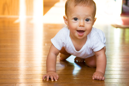 Infants showing a sense of fairness