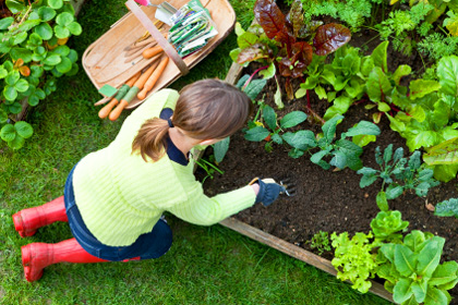 Strength exercise tips for gardeners