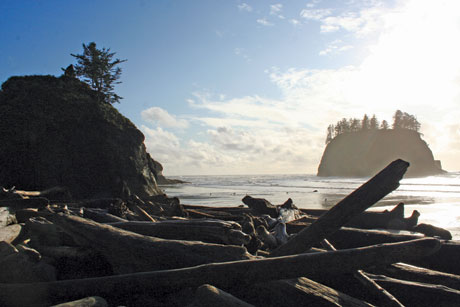 Abbey Island sea stack