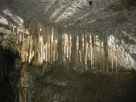 Oregon Caves National Monument