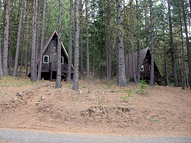Brooks Memorial State Park Cabins