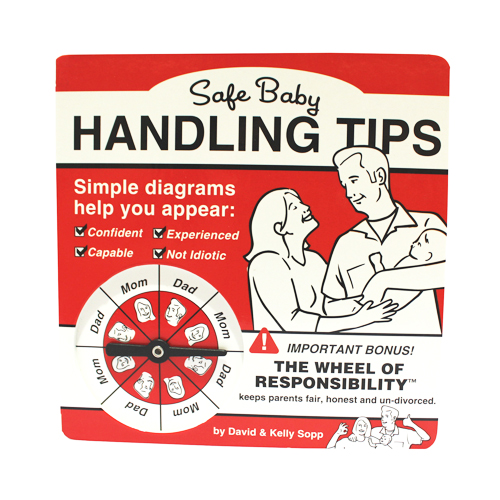 "Safe Baby Handling Tips" book cover
