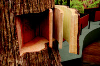 Interactive cedar tree - courtesy of Hibulb Cultural Center
