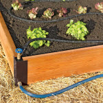 Garden soaker bed Garden soaker bed