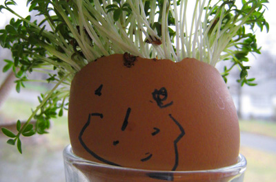 Egg Head planters by 4 Crazy Kings Egg Head planters by 4 Crazy Kings