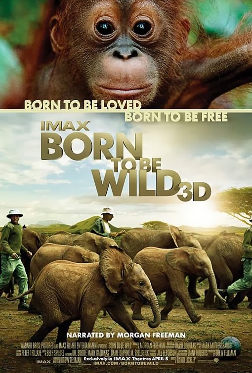 Born to be Wild Documentary DVD cover