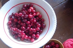 Homemade cranberry garland by Small Wonders