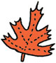 Orange fall leaf