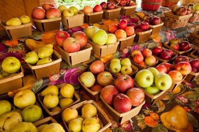 Seattle farmers markets offer organic fruits and veggies