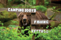 Bear Awareness Day at Northwest Trek