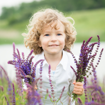 Kid in a lavender field collecting flowers for mom