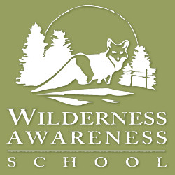 WildernessAwareness
