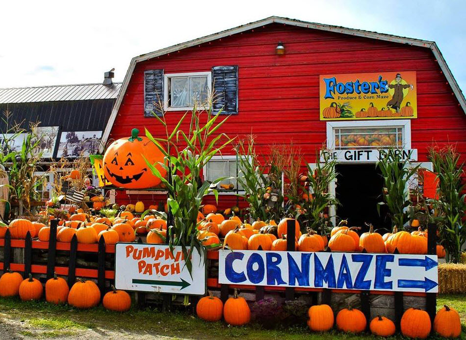 Best Pumpkin Patches and Corn Mazes for Seattle and Eastside Families | ParentMap