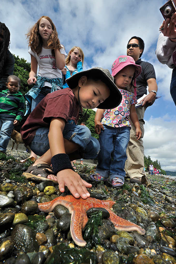 Tiptoe Through the Tidepools