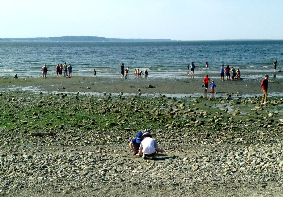 Puget Sound Tide Chart Seattle