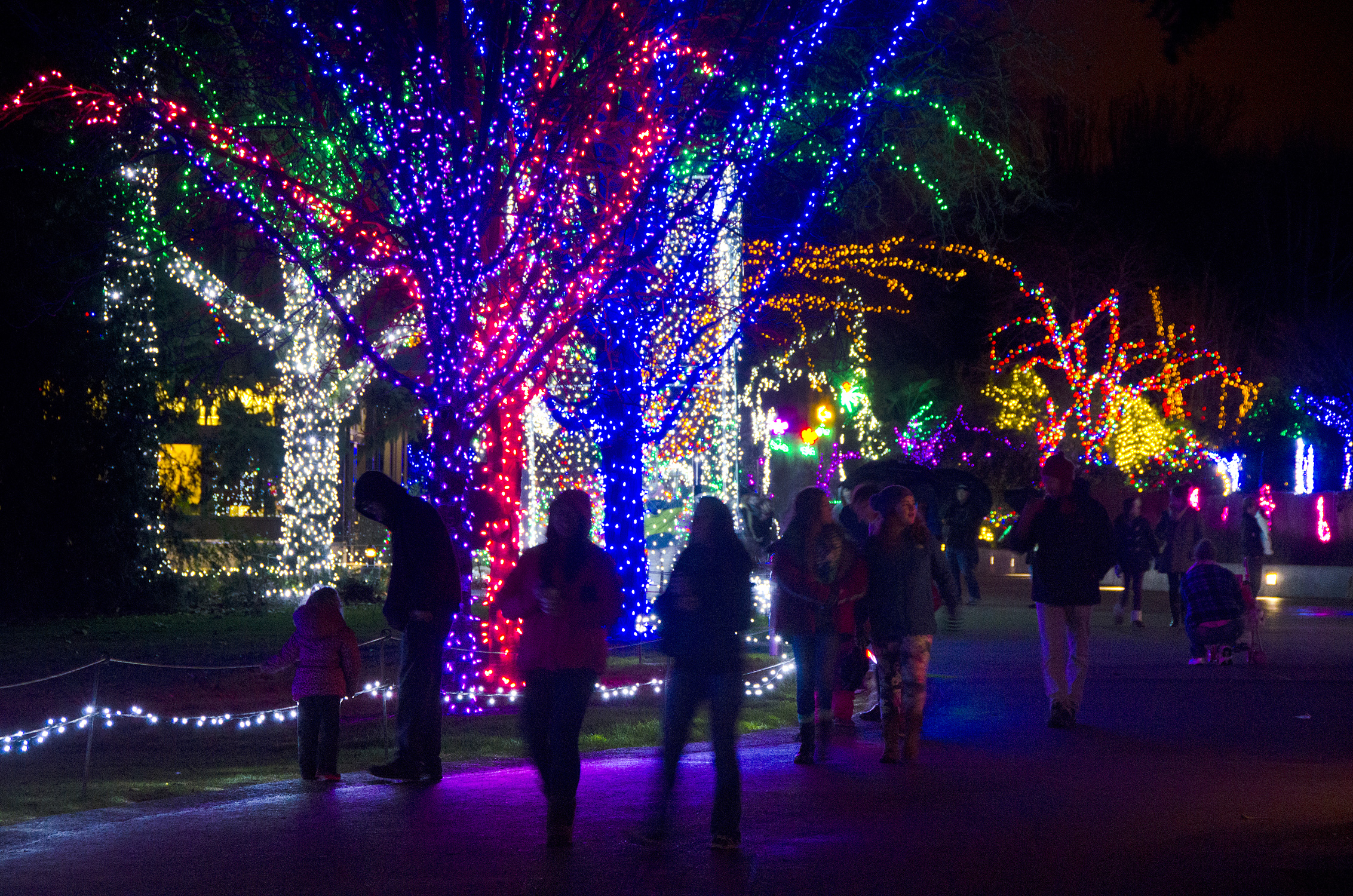 Best Christmas and Holiday Light Displays Around Seattle, Tacoma and the Eastside | ParentMap
