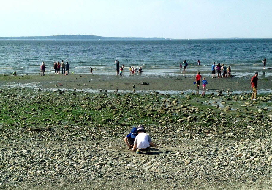 Low tide at Carkeek Park. Photo by Elisa Murray