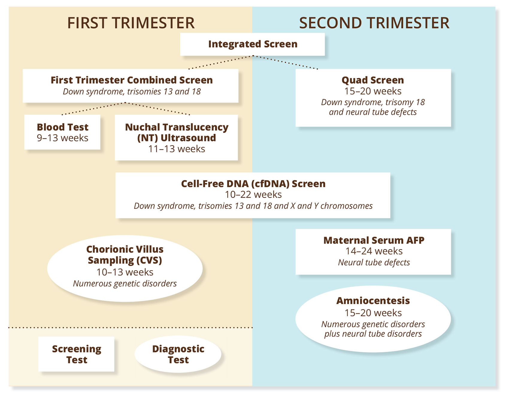 Quad Screen Results Chart