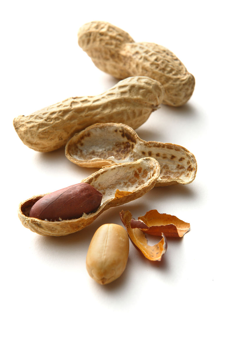 peanuts and peanut shells allergy