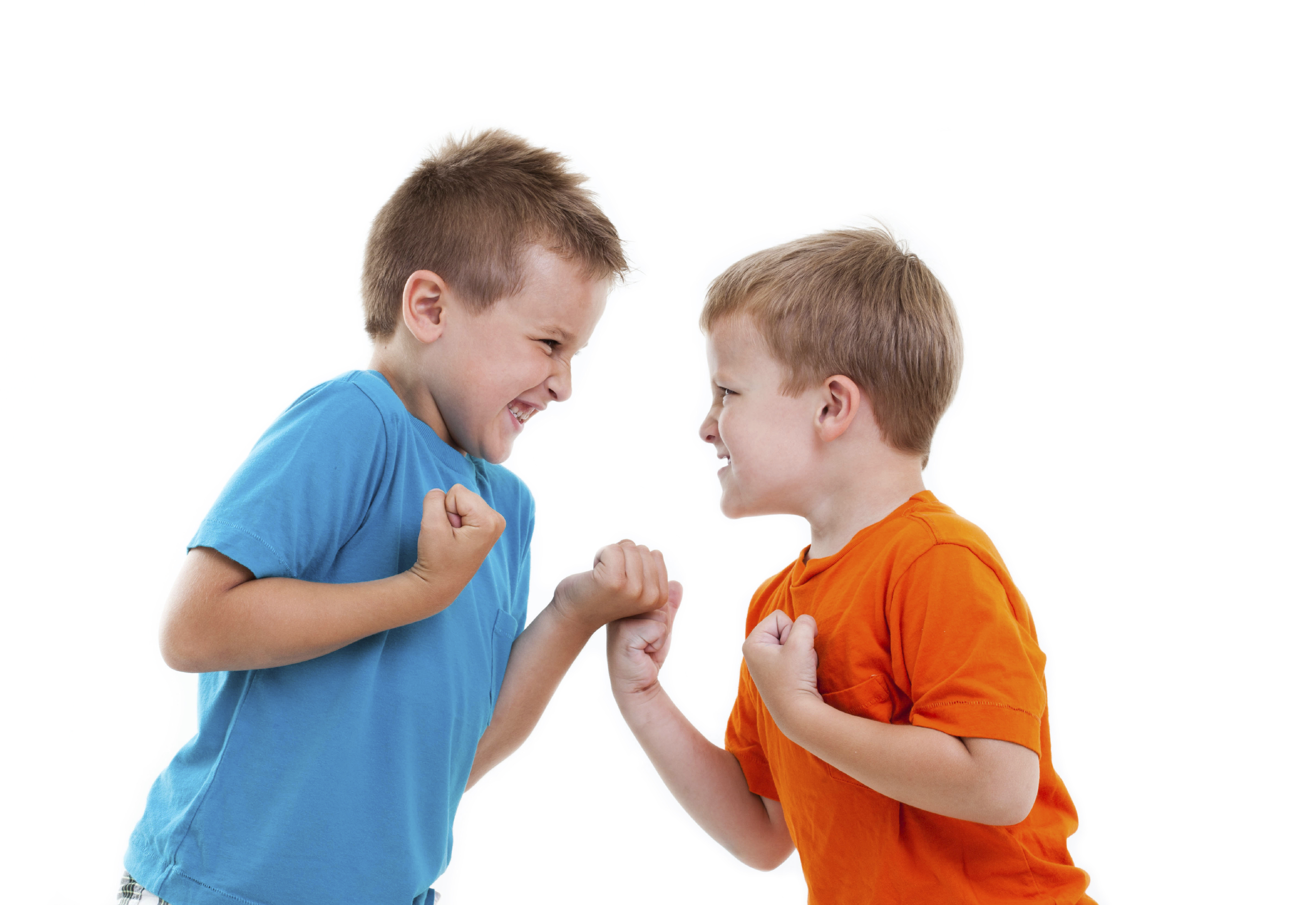 Rough play & play fighting: kids