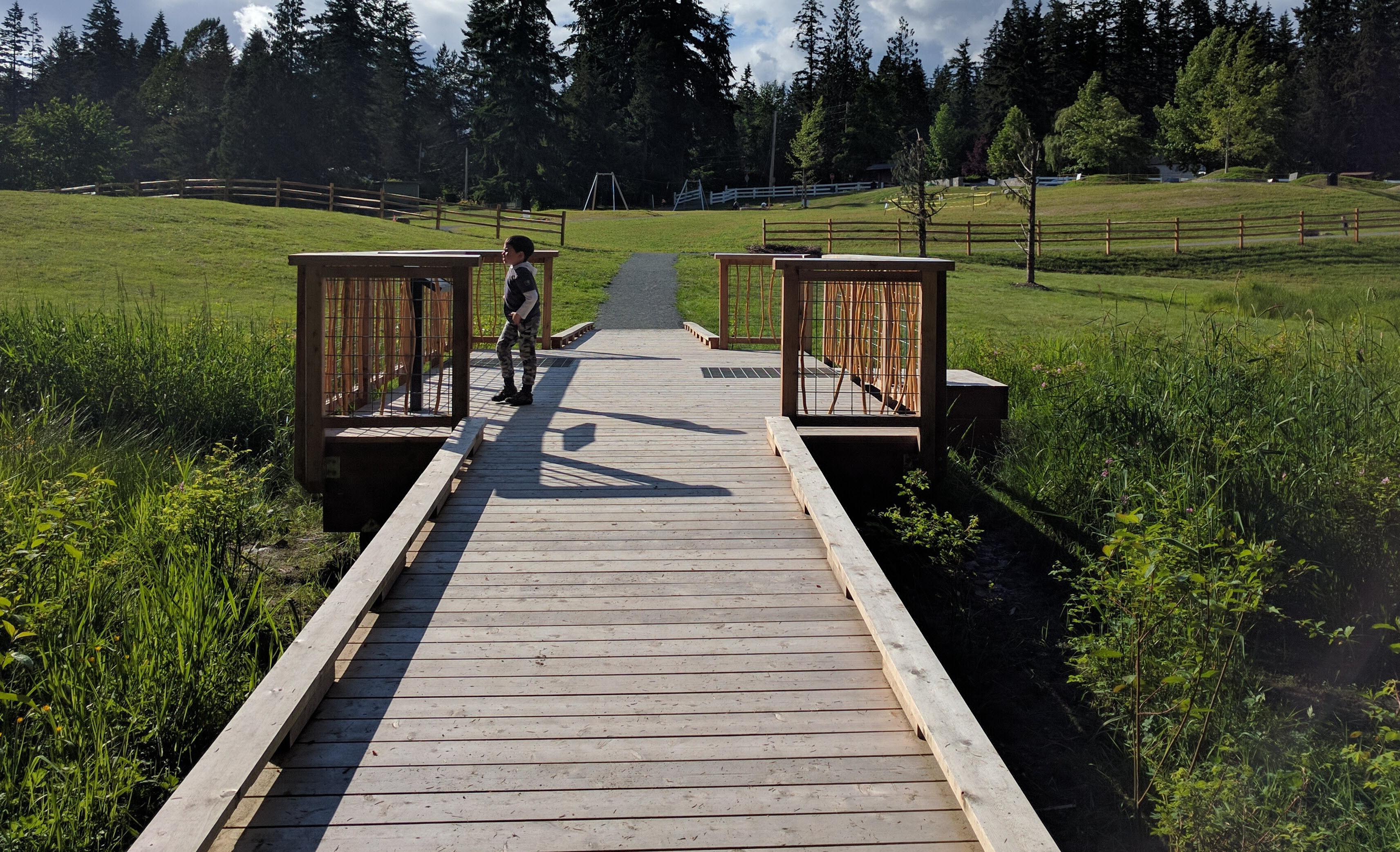 Big Rock Park wetlands. Photo credit: Kate Missine