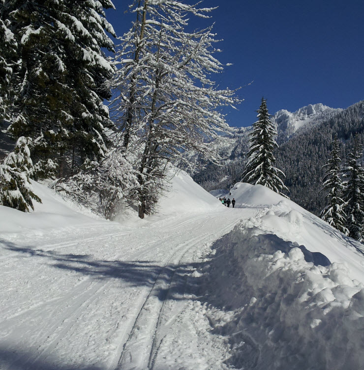 Making Tracks CrossCountry Skiing for SeattleArea Kids and Families ParentMap