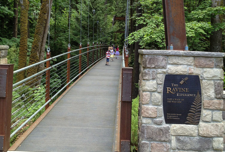 Ravine Experience, Bellevue Botanical Garden