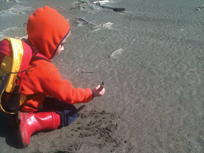 Beach day trips around the Sound