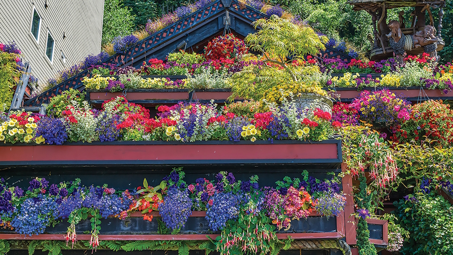 "Alki flower house covered in flowers"