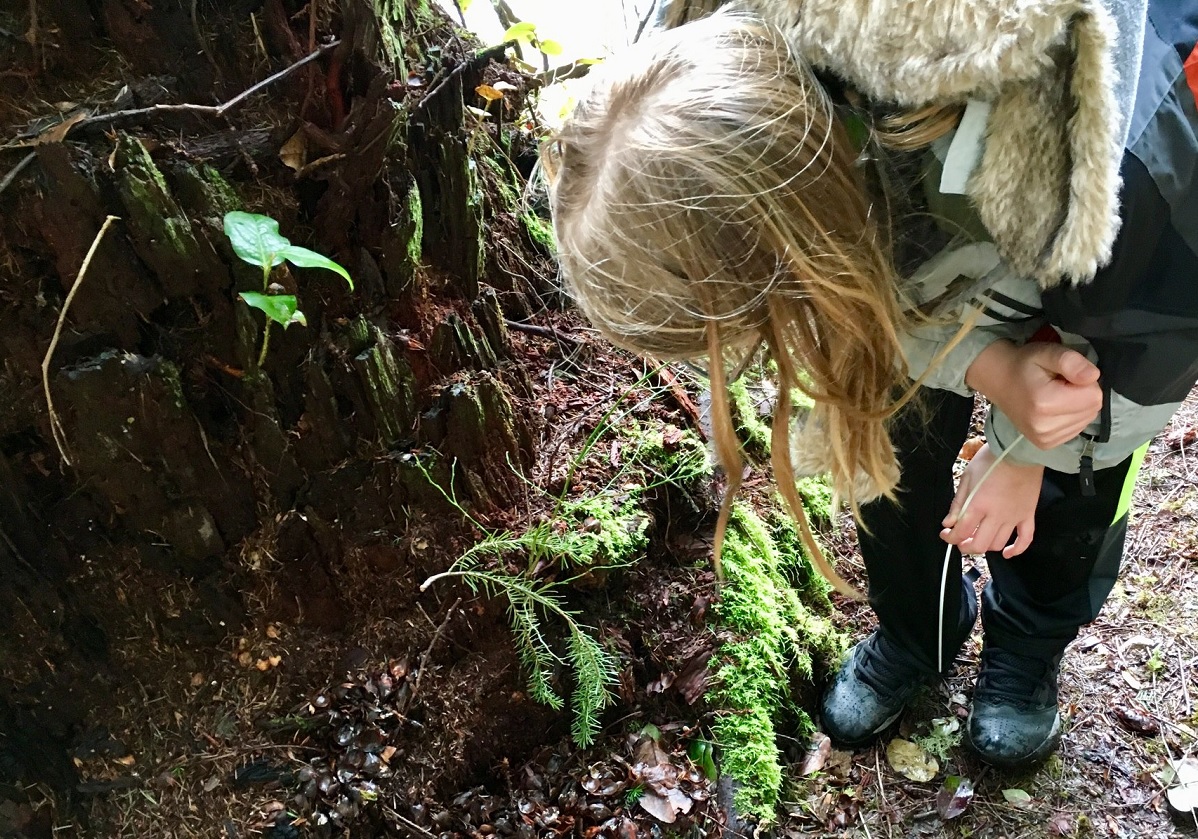 A girl is bending down close to the ground to look at plant life at the Cedar River Watershed near Seattle among family nature destinations