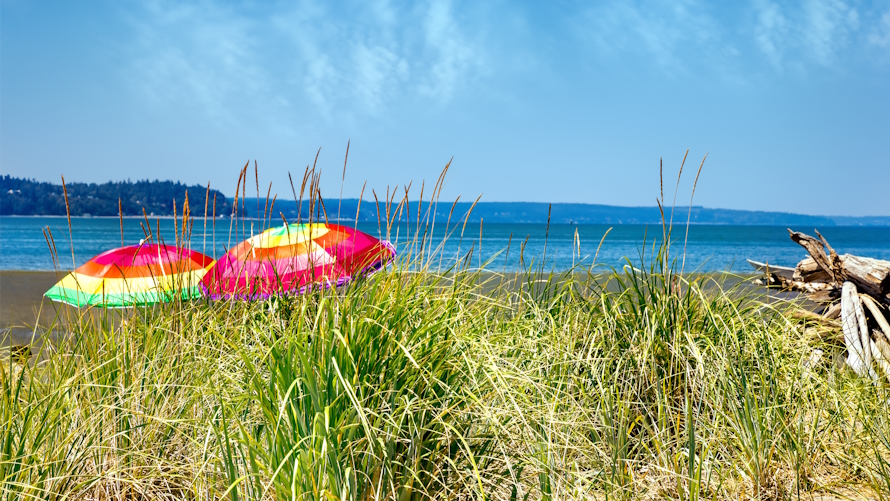 Colorful umbrellas on Jetty Island in Everett
