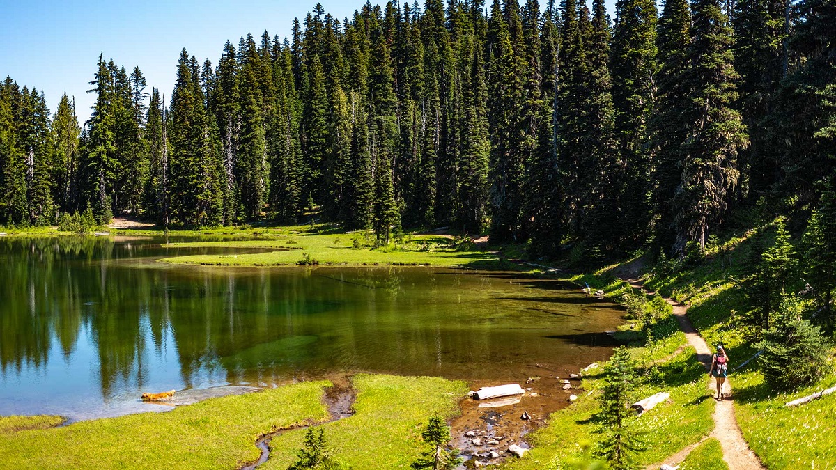 Hike near alpine lakes at Crystal Mountain in summer