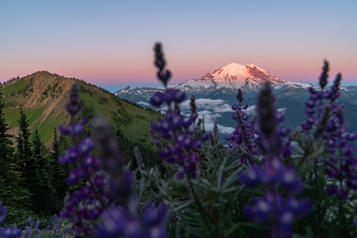 Sunset view of Mount Rainier from Crystal Mountain in summer