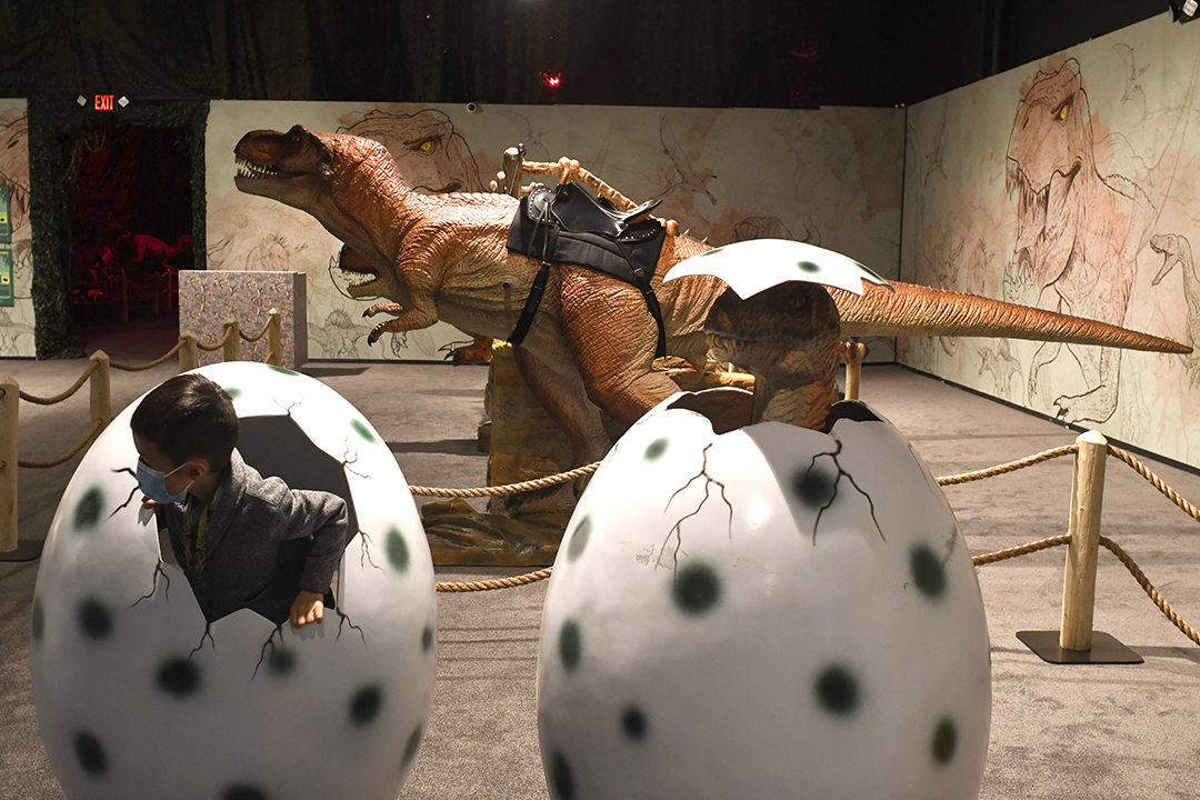 Kids "hatch" out of life-size dinosaur eggs at interactive Dinos Alive dino experience in Seattle