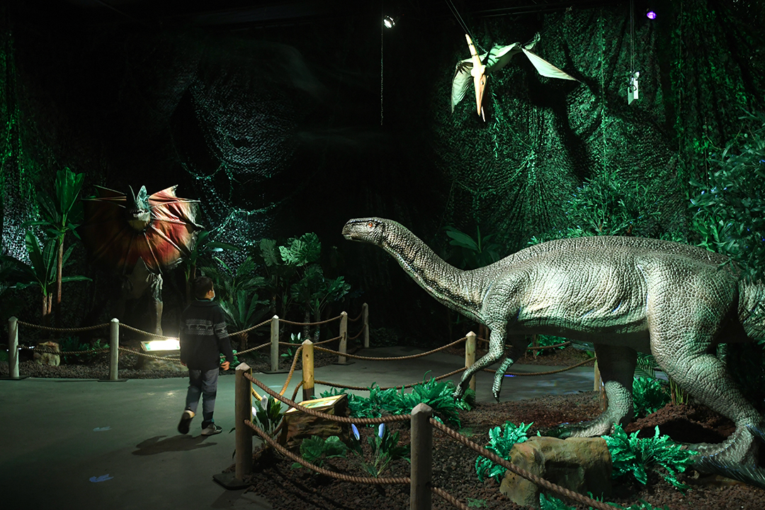 Animatronic Plateosaurus dinosaur at Seattle's new Dinos Alive exhibit