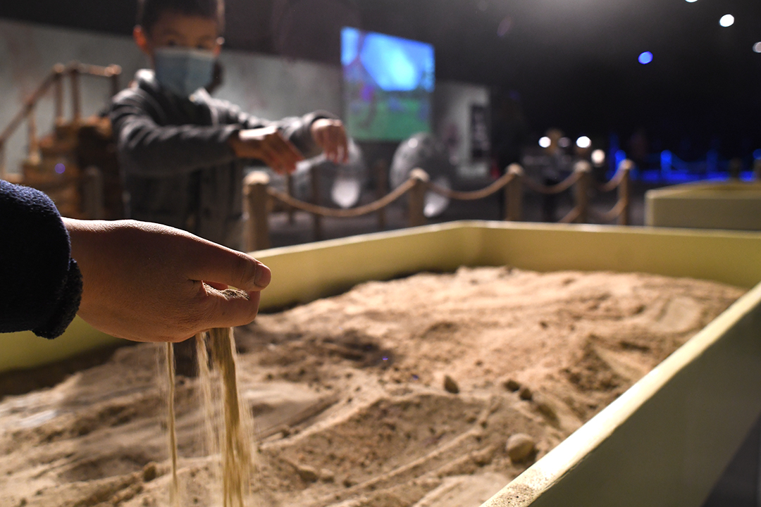 Dig for dinosaur fossils in the sandbox at Dinos Alive immersive interactive dinosaur exhibit Seattle