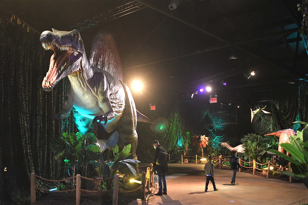 Animatronic spinosaurus dinosaur at Seattle's new Dinos Alive exhibit