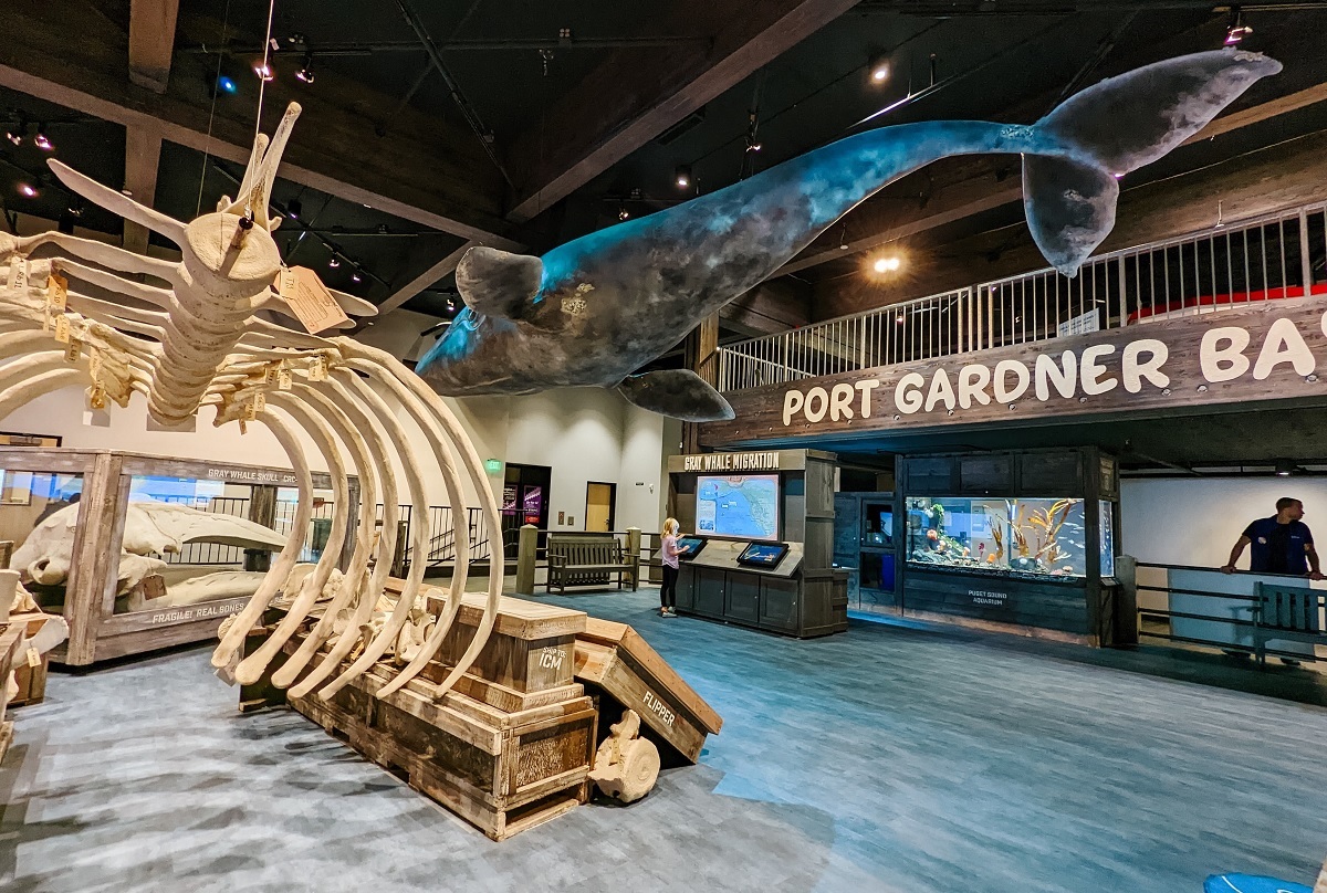 Port Gardner Bay marine exhibit area of newly expanded Imagine Children's Museum in Everett, Wash.