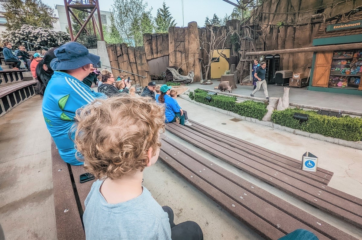 A young boy with curly hair watches the animal show from the bleachers at PDZA's Wild Wonders Outdoor Theater