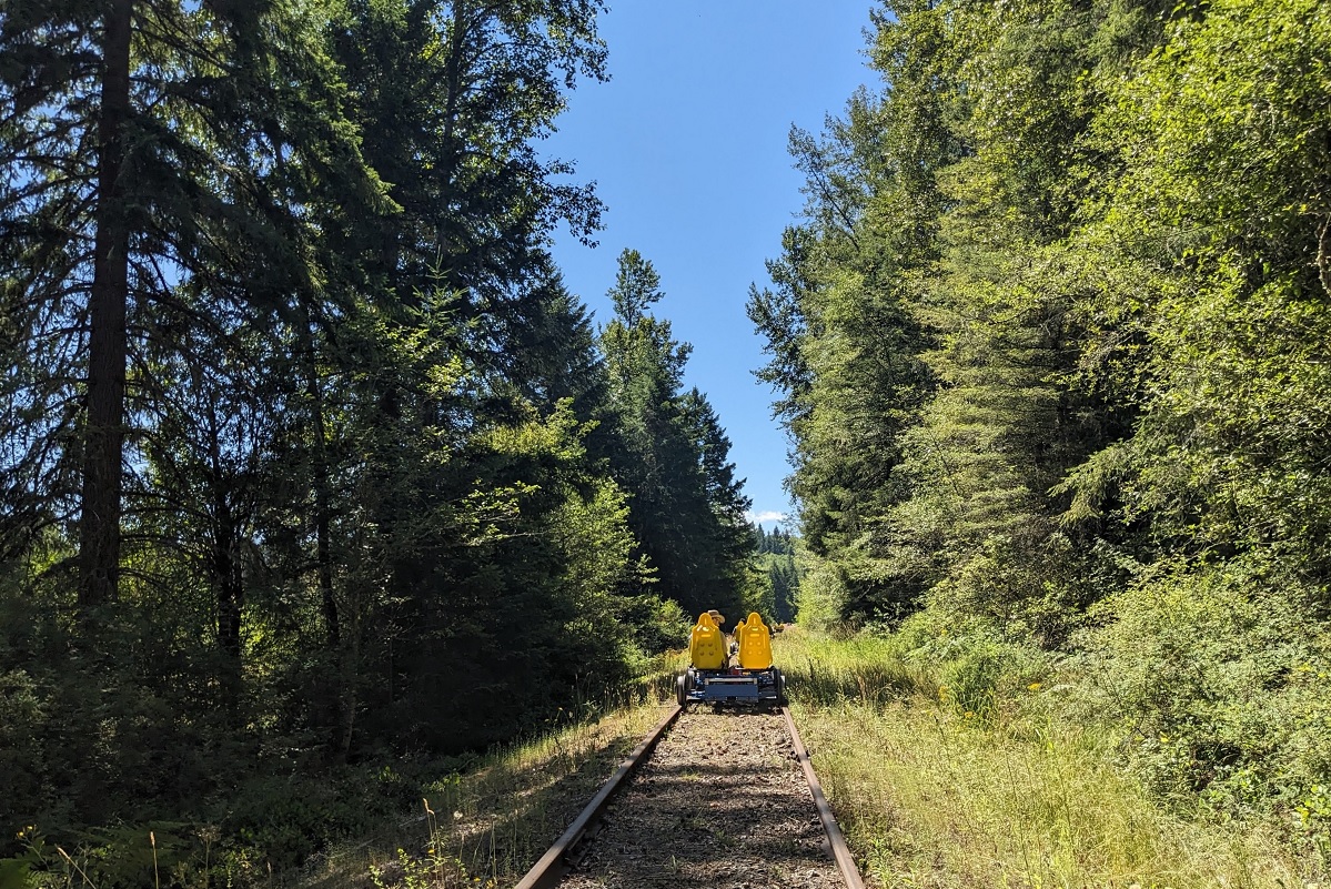 A rail cycle excursion passes through the forest on the RailCycle Mt. Rainier excursion