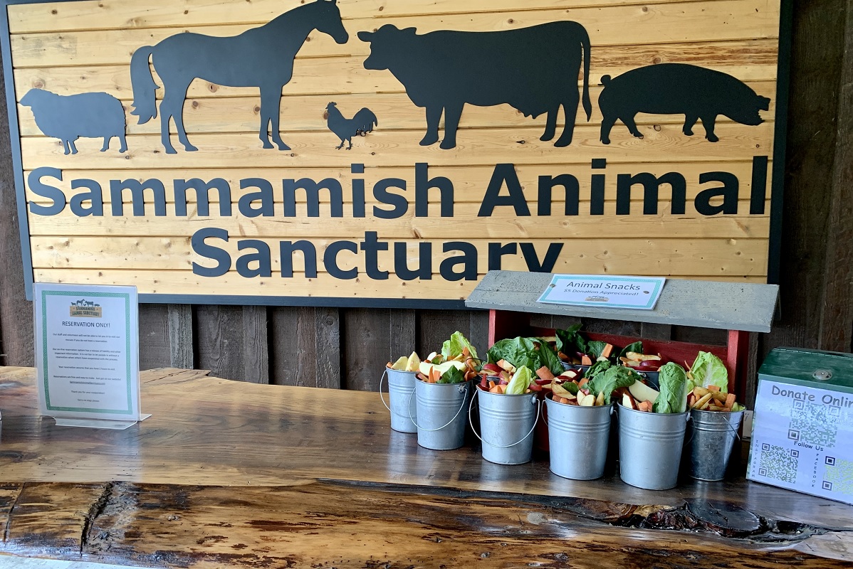 Buckets of fruit and vegetable treats for Sammamish Animal Sanctuary critters sit on the counter at the entrance to the facility
