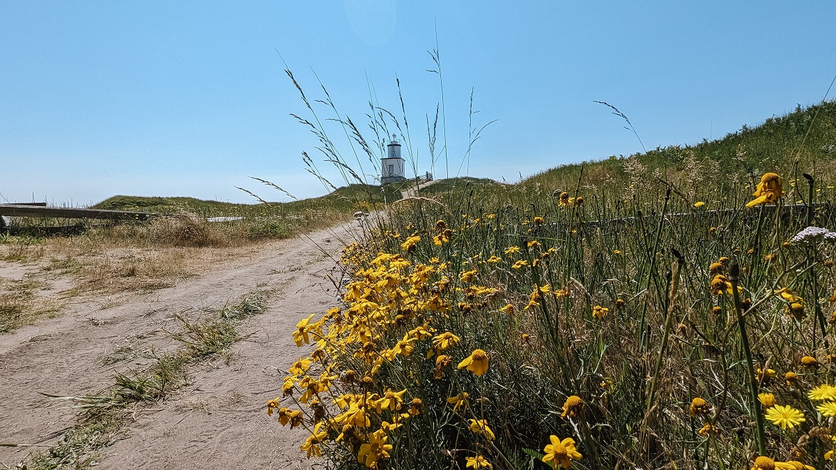 The lighthouse at Cattle Point on San Juan Island is a pretty stop among San Juans Islands family activities including kayaking san juan islands