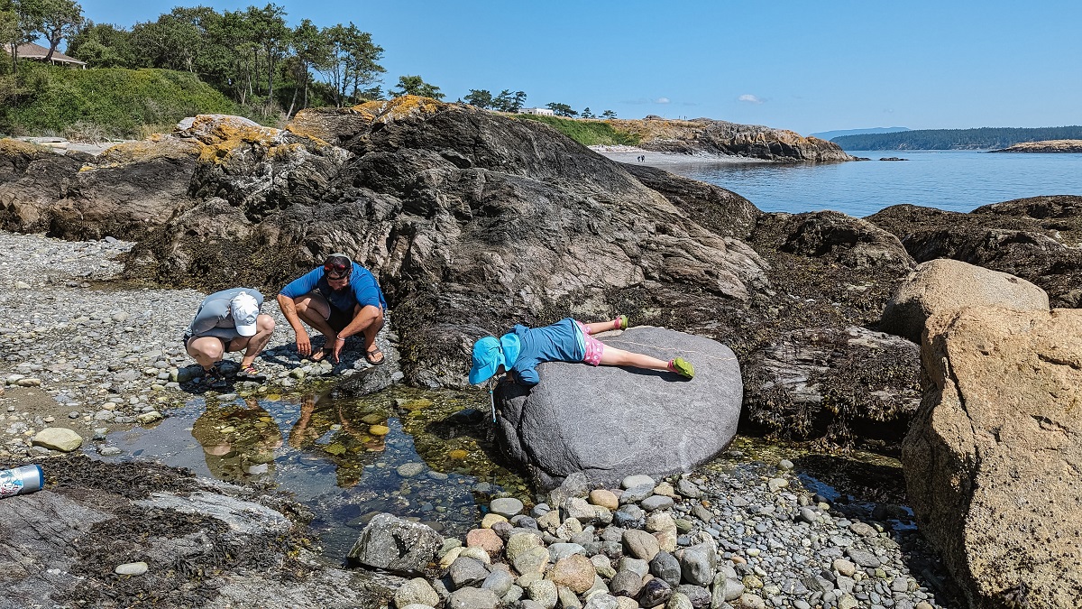 Looking at tide pools in the San Juan Islands on a family kayaking trip